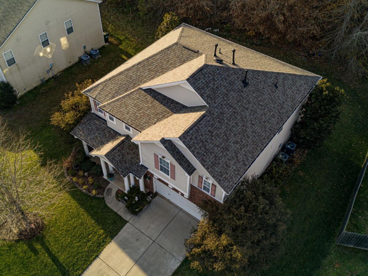 DJI 0481